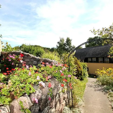 Ferienwohnung Unter Reet Ostseebad Goehren Appartamento Goehren (Ruegen)